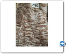 collection 10 Stampe fantasia 285
